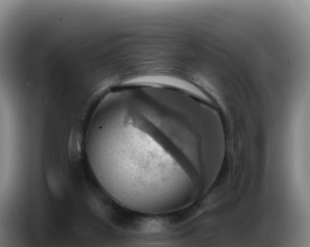 X0000086750115200704201733