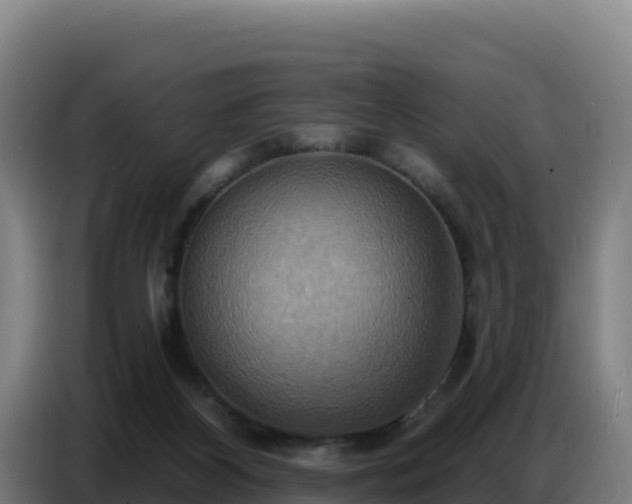 X0000086750116200704201733