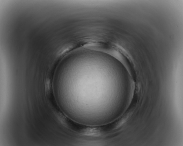 X0000086750117200704201733