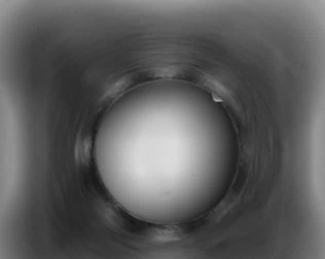 X0000086750118200704201733