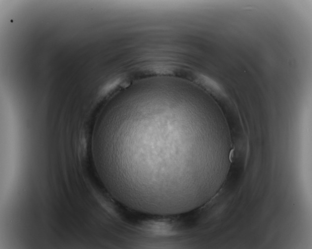 X0000086750120200704201733