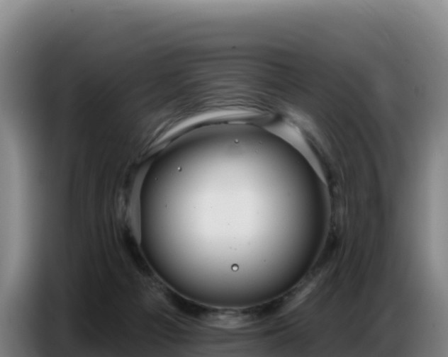 X0000086750121200704201733