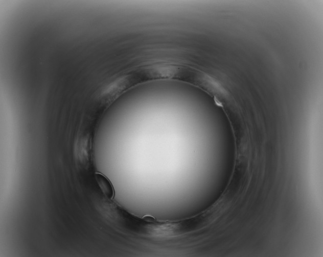 X0000086750122200704201733