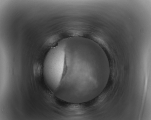 X0000086750123200704201733