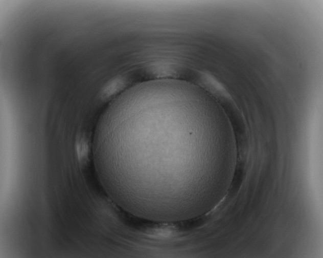 X0000086750124200704201733