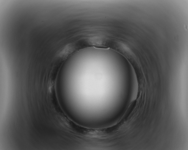 X0000086750125200704201733