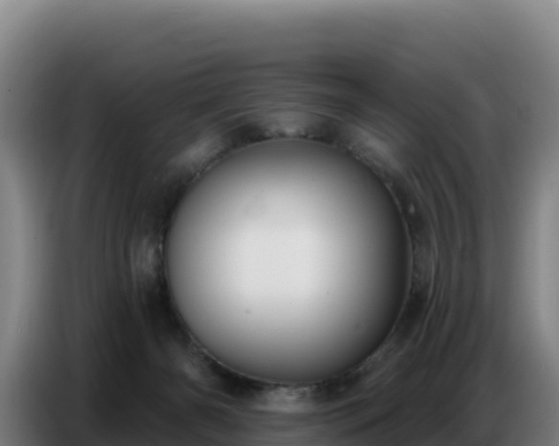 X0000086750126200704201733