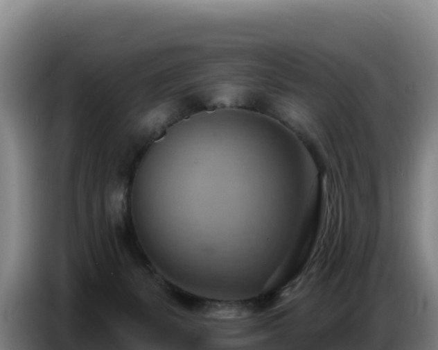 X0000086750127200704201733