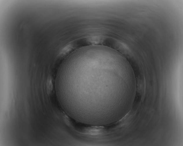 X0000086750128200704201733