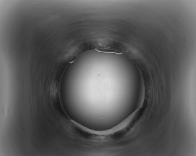 X0000086750129200704201732