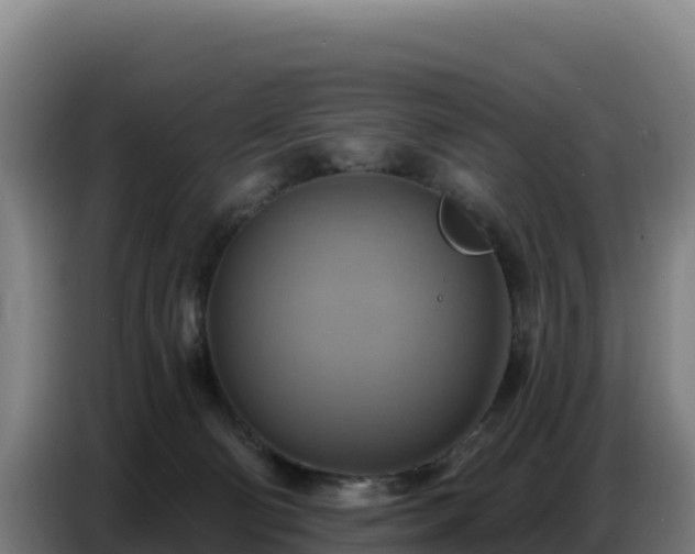 X0000086750130200704201732