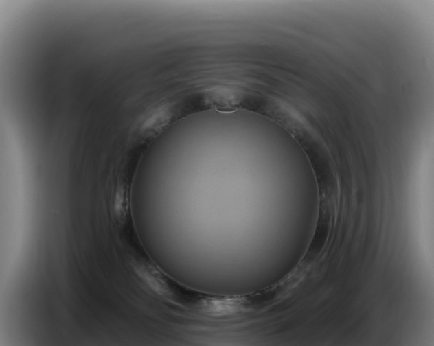 X0000086750134200704201732