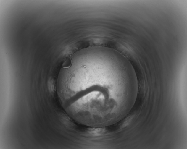 X0000086750135200704201732