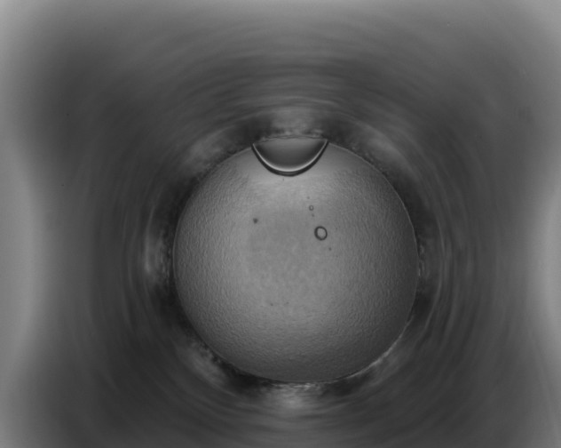 X0000086750136200704201732