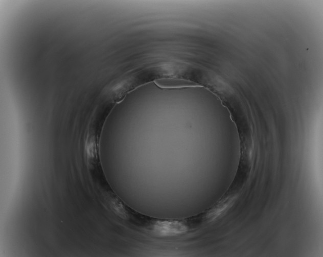 X0000086750137200704201732