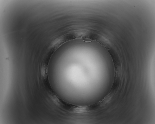 X0000086750138200704201732