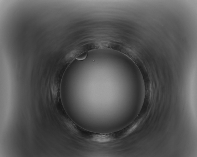 X0000086750139200704201732