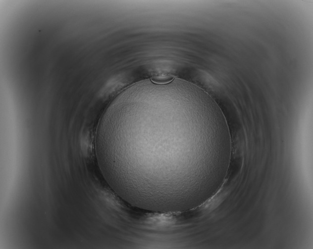 X0000086750140200704201732