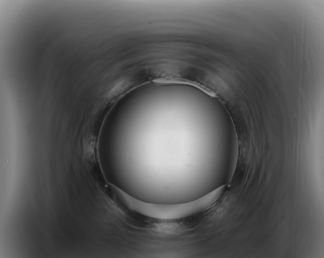 X0000086750141200704201732