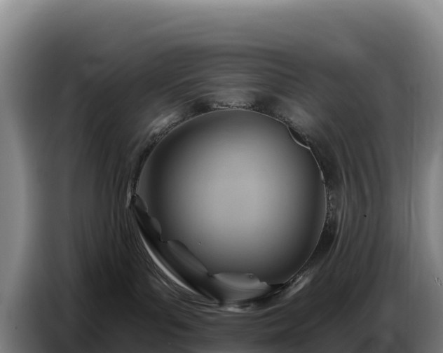 X0000086750143200704201732