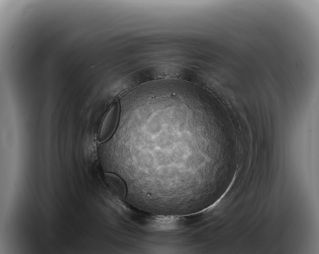 X0000086750144200704201732