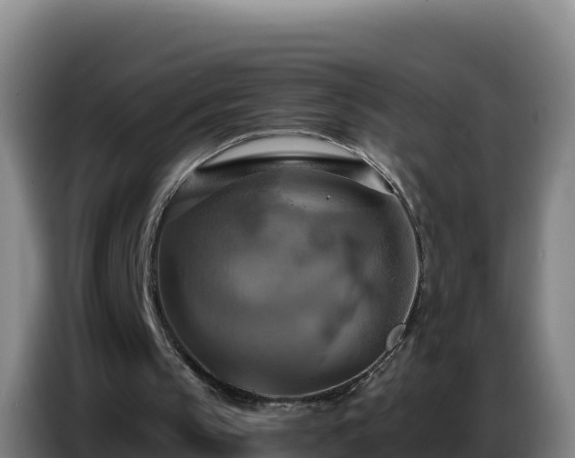 X0000086750145200704201732