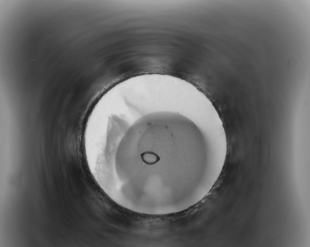 X0000086750146200704201732