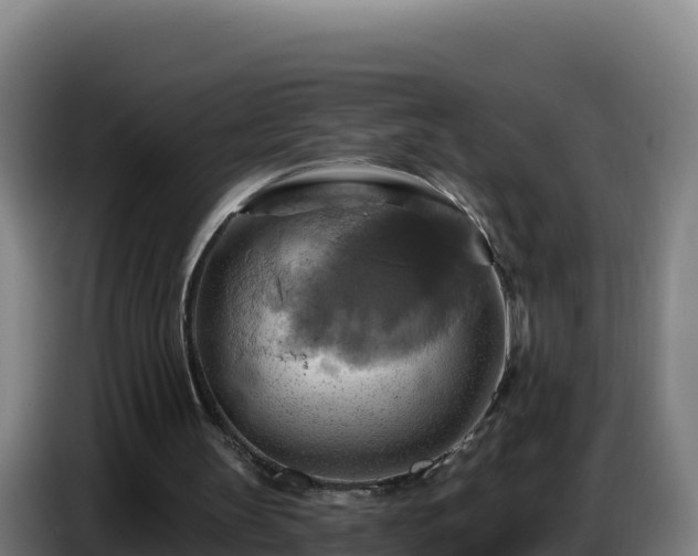 X0000086750147200704201732