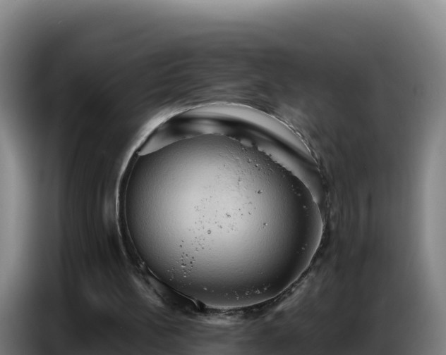 X0000086750148200704201732