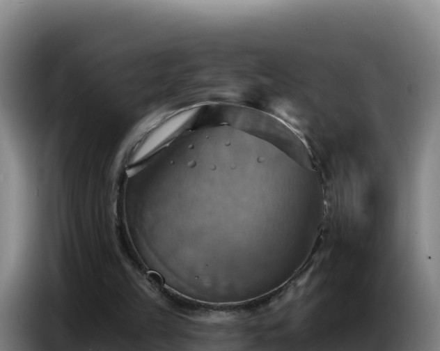 X0000086750149200704201732