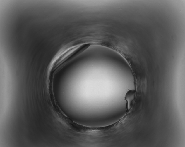 X0000086750150200704201732