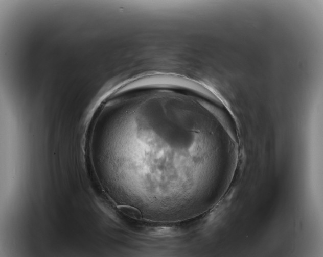 X0000086750151200704201732