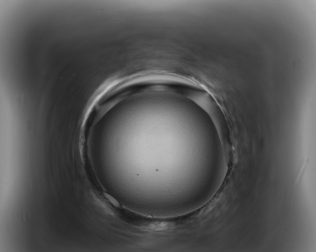 X0000086750152200704201732