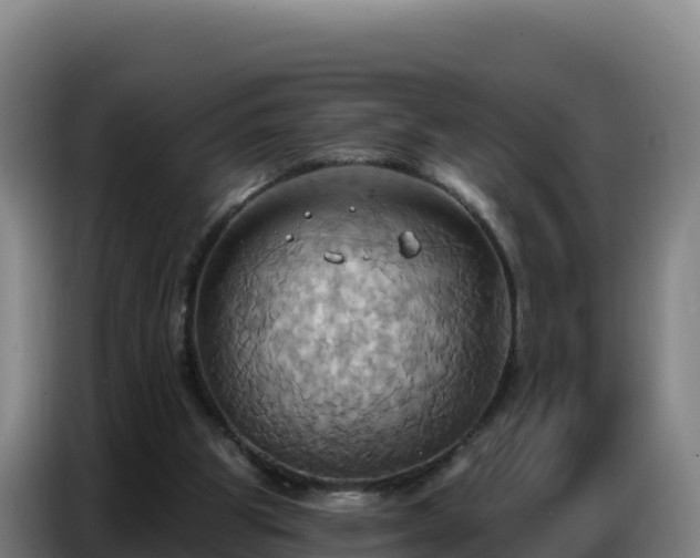 X0000086750153200704201732