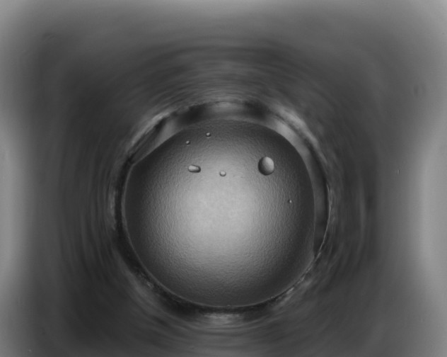 X0000086750154200704201732