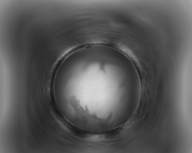 X0000086750155200704201732