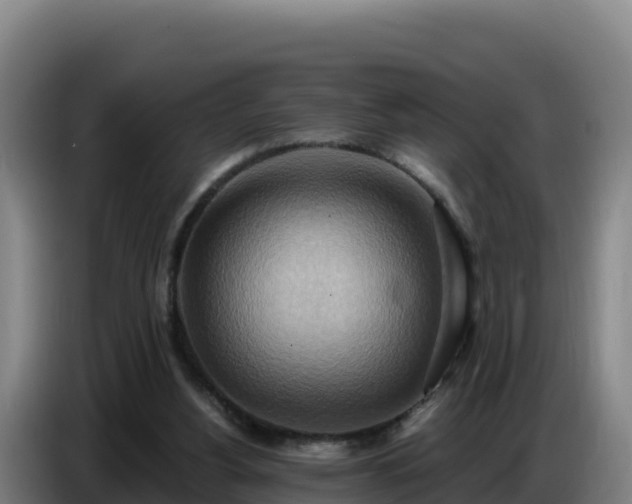 X0000086750156200704201732