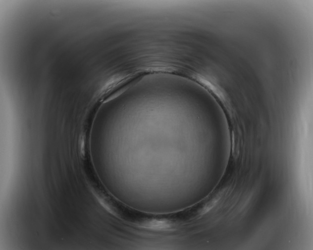 X0000086750157200704201732