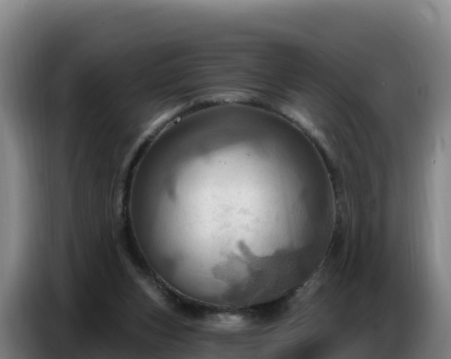 X0000086750159200704201732