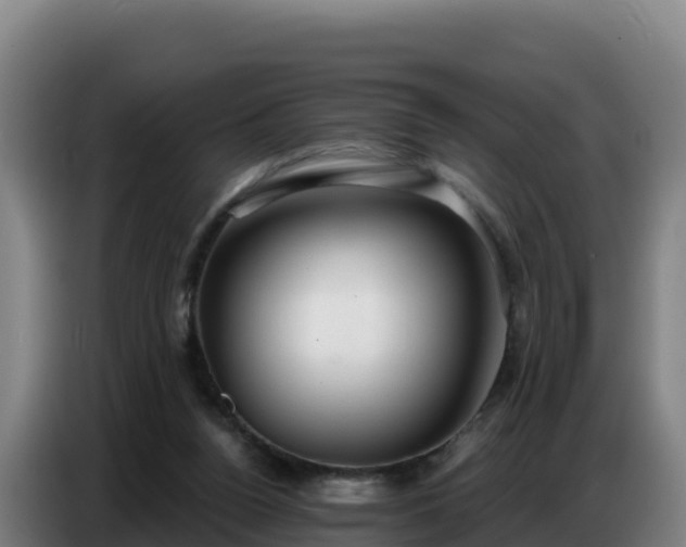 X0000086750160200704201732