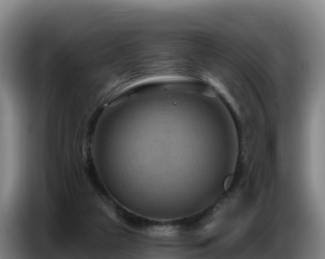 X0000086750161200704201732