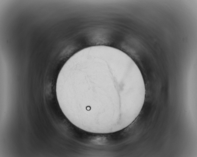 X0000086750162200704201732