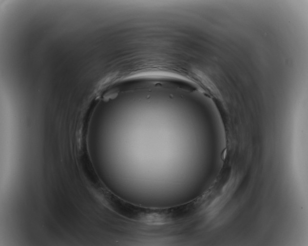 X0000086750163200704201732