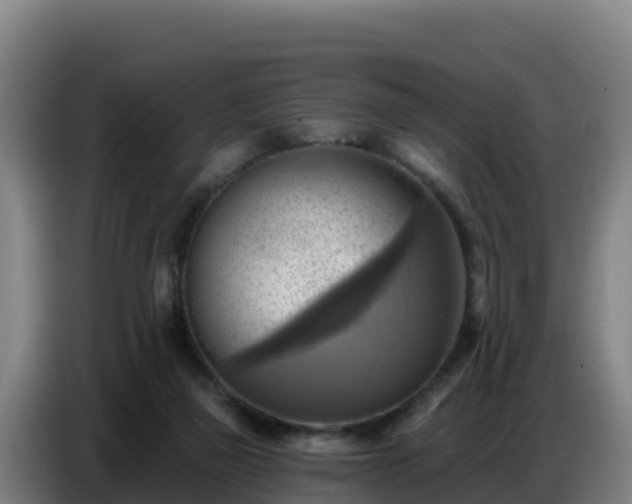 X0000086750165200704201732