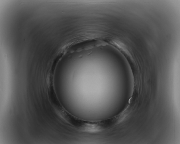 X0000086750167200704201732