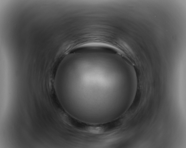 X0000086750169200704201732