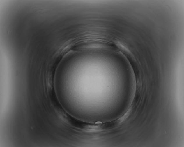 X0000086750170200704201732