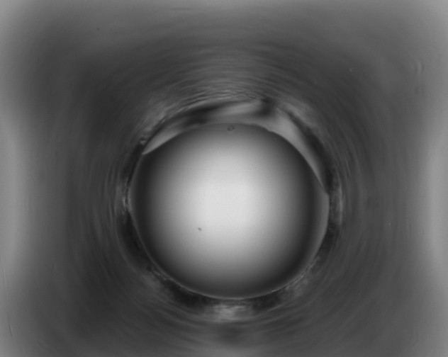 X0000086750172200704201732