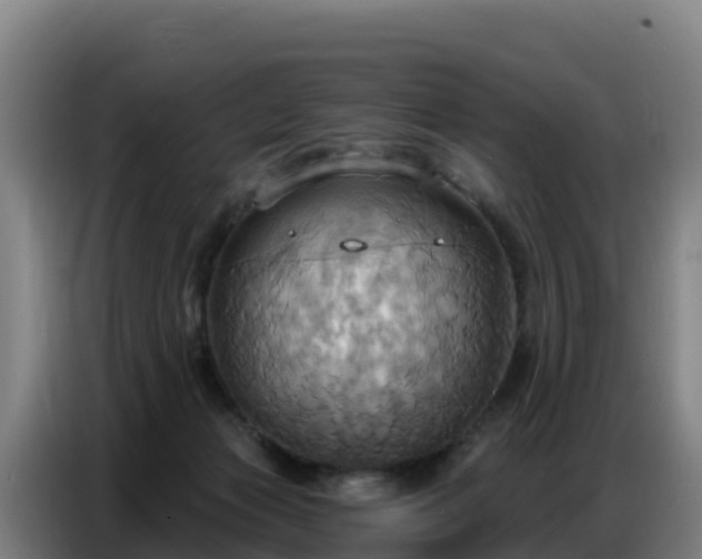 X0000086750173200704201732