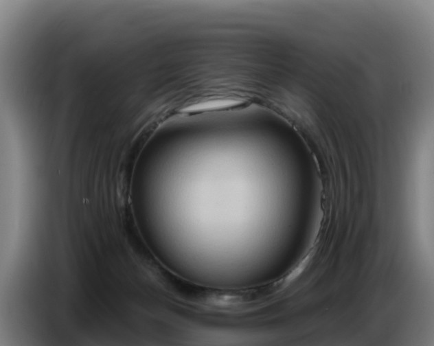 X0000086750174200704201732